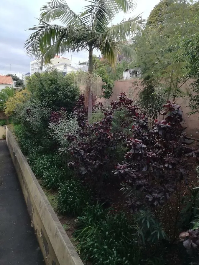 Appartement Madeira Funchal Gardens  Funchal (Madeira)