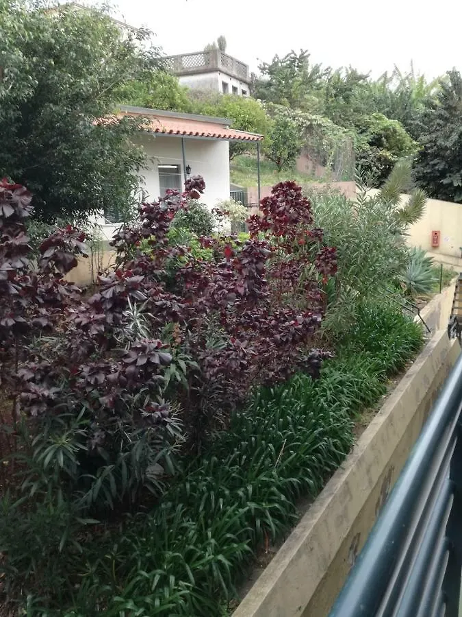 Appartement Madeira Funchal Gardens Portugal